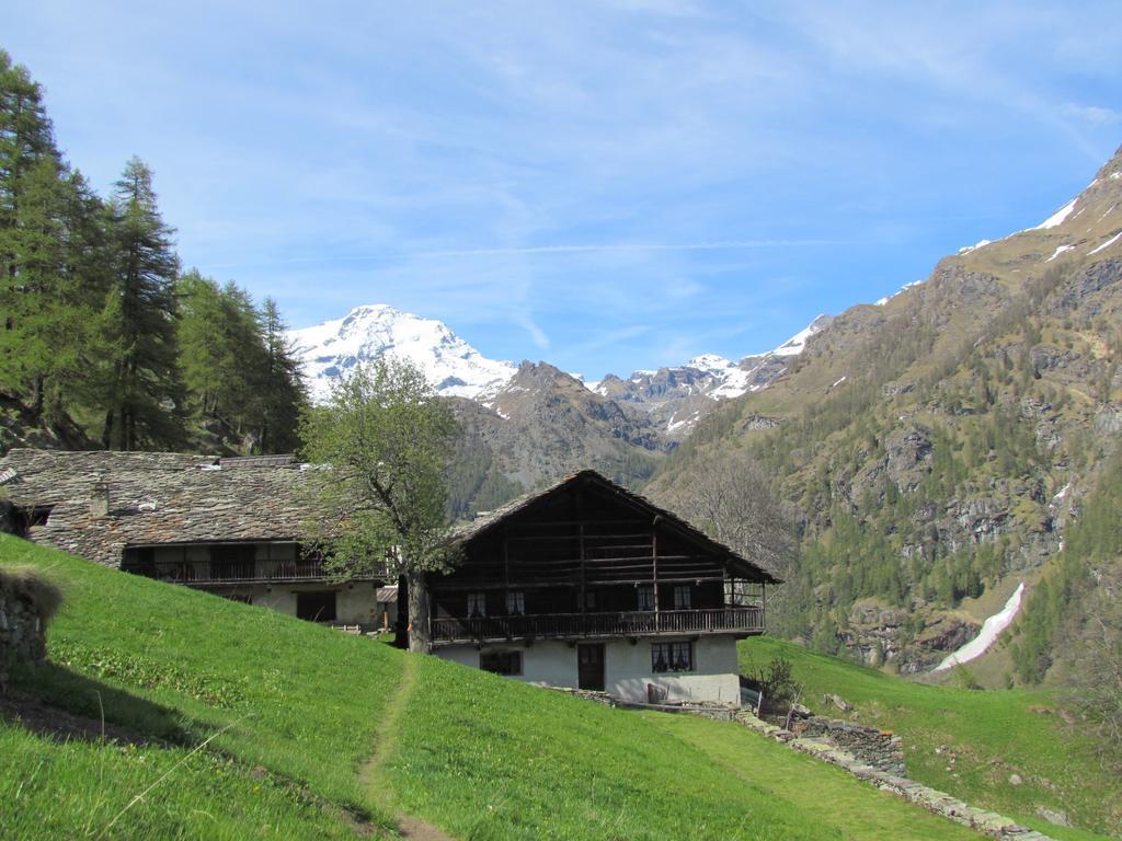 Hotel Lysjoch Gressoney-la-Trinité Esterno foto